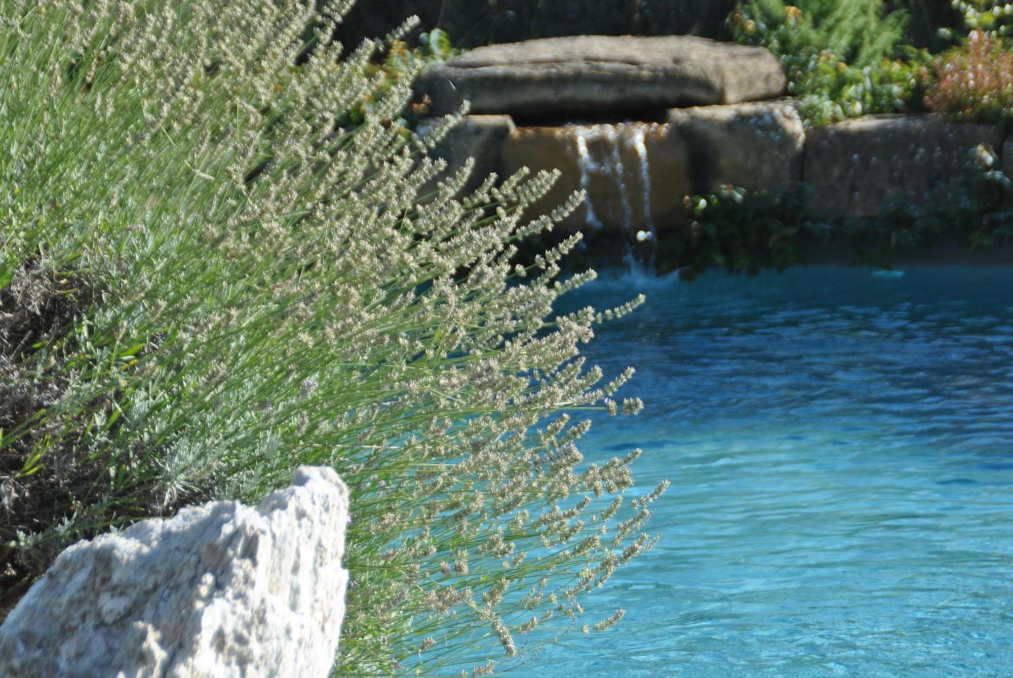 Agriturismo Campo Del Pillo Pietradura Exterior photo