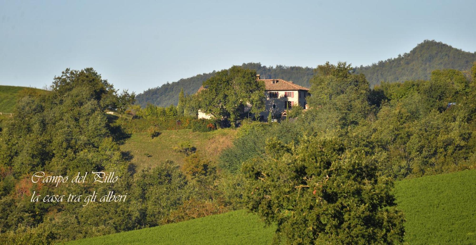 Agriturismo Campo Del Pillo Pietradura Exterior photo
