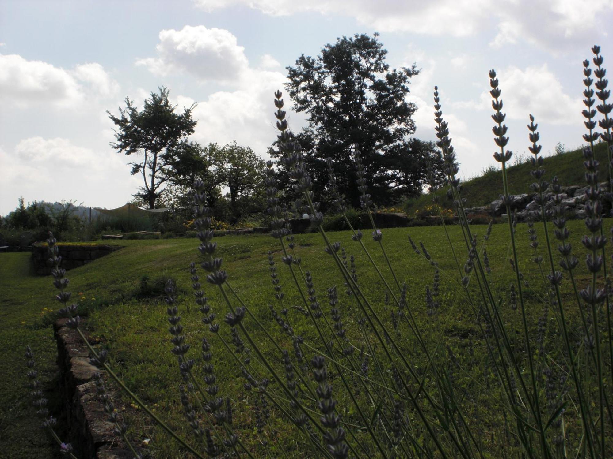 Agriturismo Campo Del Pillo Pietradura Exterior photo